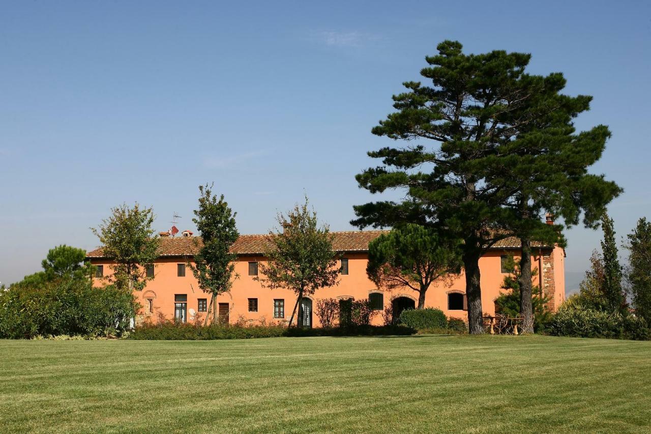 La Magnifica B&B Fauglia Exteriör bild