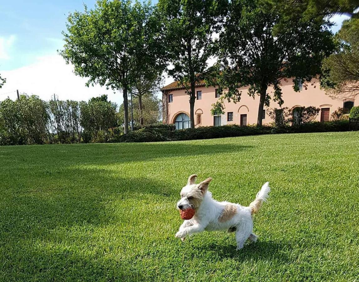La Magnifica B&B Fauglia Exteriör bild